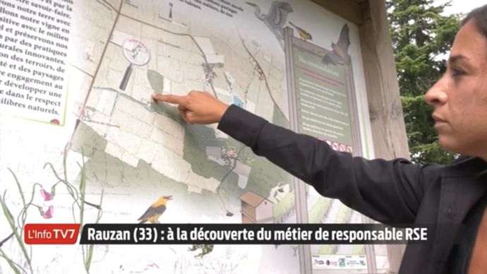 La chaîne TV7 a filmé Laure Durand, responsable RSE des caves coopératives de Rauzan, qui explique son métier en un peu plus d’une minute. Un premier portrait qui a été diffusé sur cette chaîne et également sur LCP (La Chaîne parlementaire) à partir du 1er octobre.